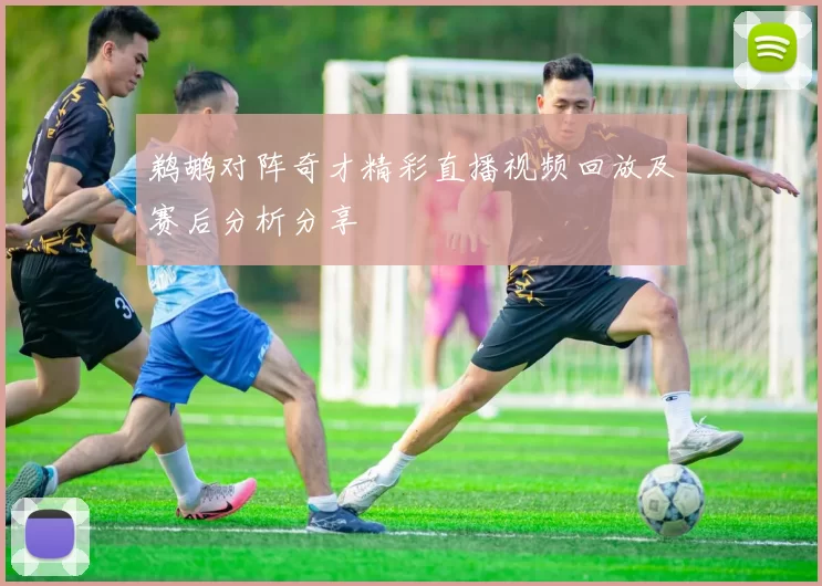 鹈鹕对阵奇才精彩直播视频回放及赛后分析分享